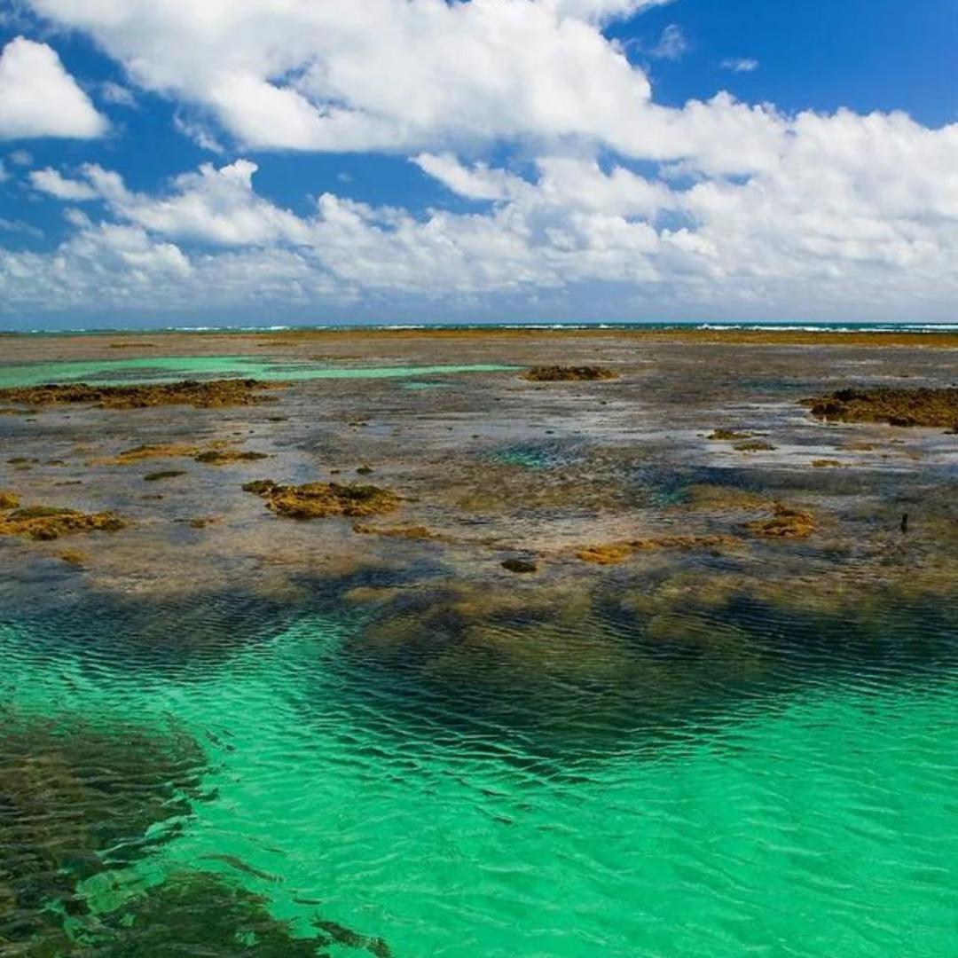 Pousada Solar Da Praia Tamandare Luaran gambar